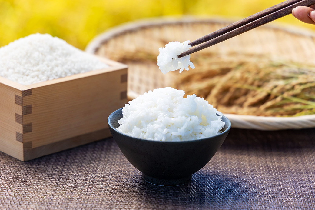 【5回定期便】田園交響楽 ゆめぴりか 5kg お米 精米 白米 北海道