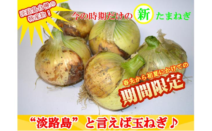 甘さに自信!! ほんまもん!!