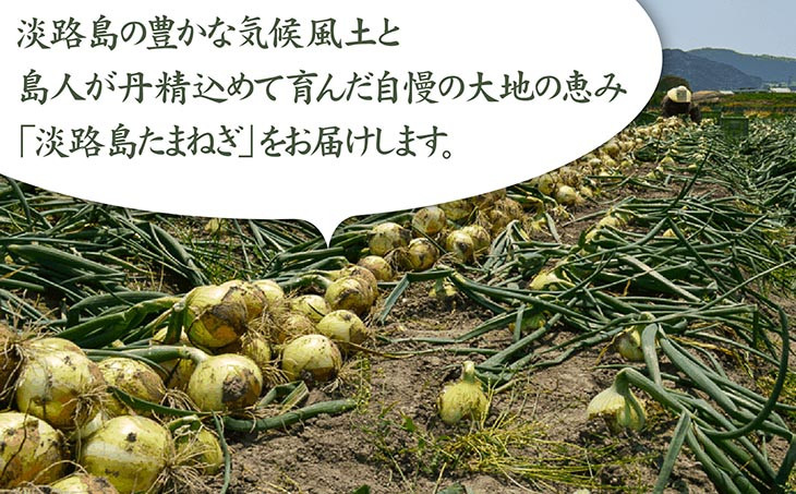 甘さに自信!! ほんまもん!!