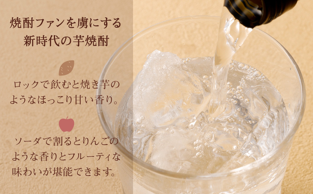 ＜宝酒造・黒壁蔵焼酎2種4本セット(900ml×2本、700ml×2本)＞