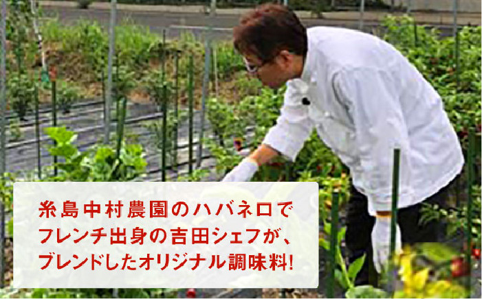 醤油 タレ お試し 小さいサイズ 少量 国産 ハバネロ 唐辛子