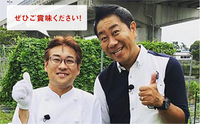 醤油 タレ お試し 少量 国産 ハバネロ 唐辛子 酢醤油 辛い