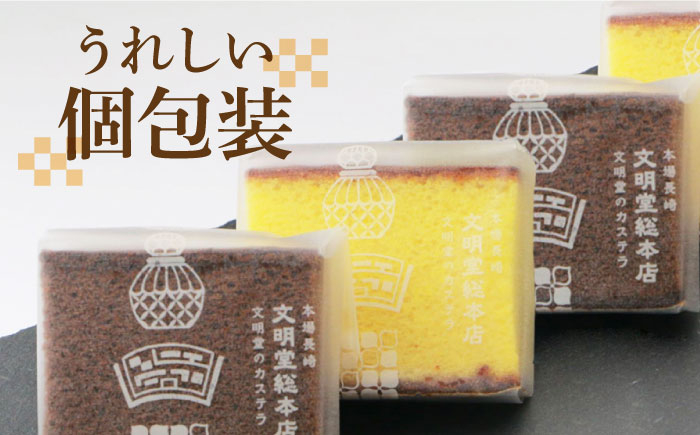 カステラ チョコ プレーン