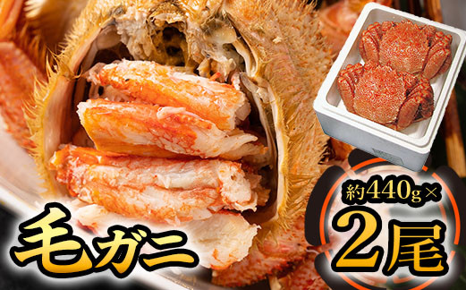 毛ガニ（約440g）×２尾【01048】