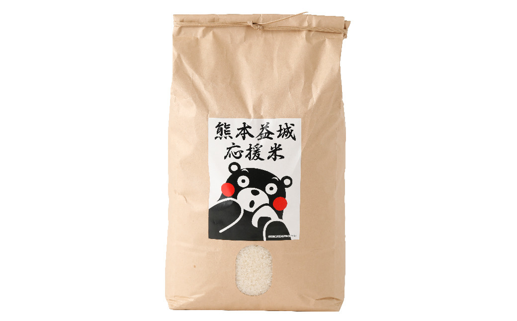 【3ヶ月定期便】復興 応援米 10kg 計30kg お米 コメ ごはん