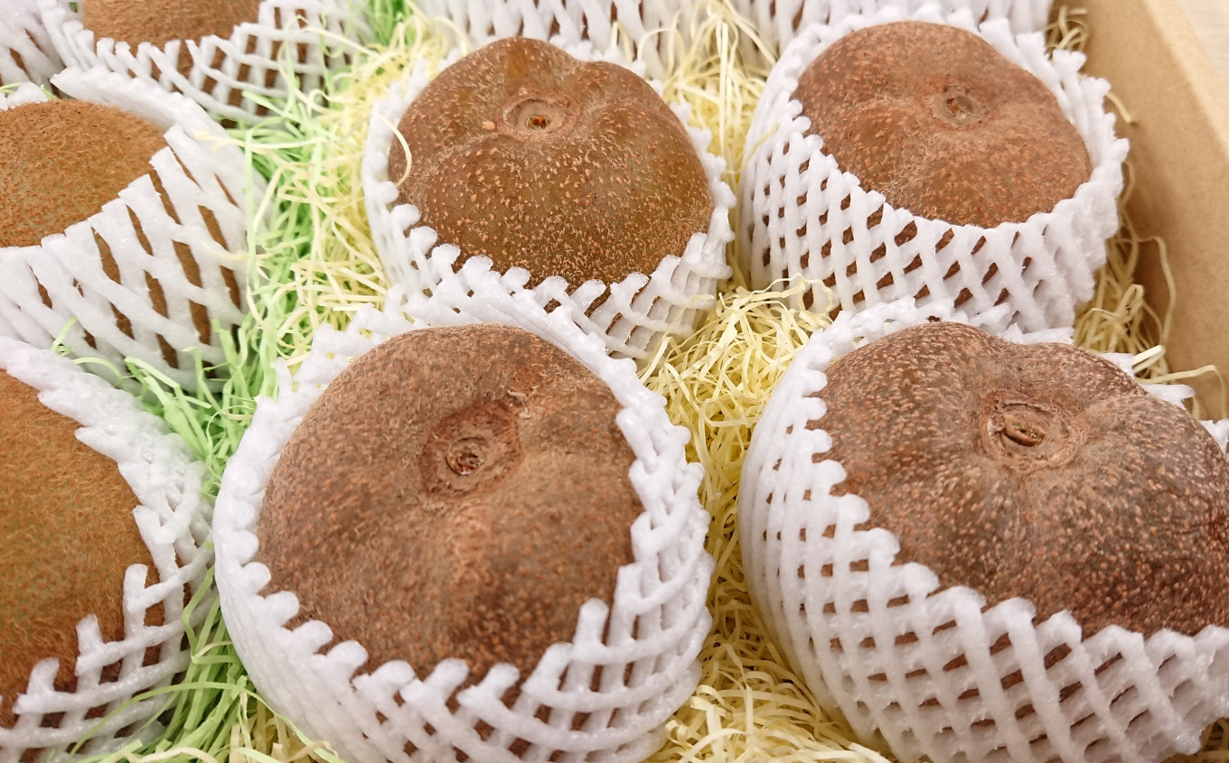 小粒なアップルキウイを15～18個詰めてお届けいたします