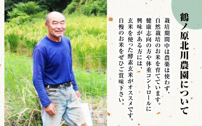 栽培期間中農薬不使用 令和7年産 佐賀県産 伊勢ヒカリ（イセヒカリ） 玄米 5kg /鶴ノ原北川農園 [UDL003] 米 お米