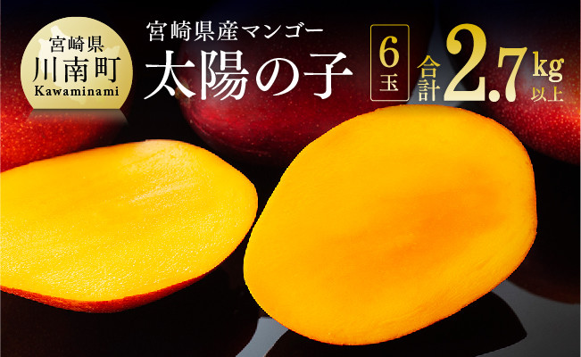 宮崎マンゴーの元祖!本場台湾の栽培方法を活かして産まれた完熟マンゴー「太陽の子」