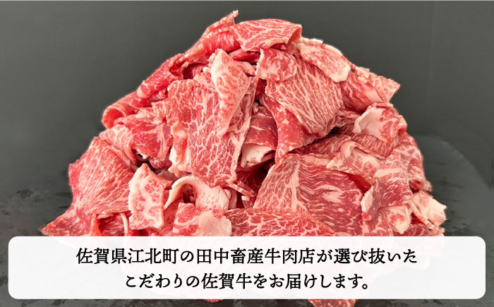全12回定期便 佐賀牛切り落とし500g 黒毛和牛 肉 牛肉 定期便 月2回 1ヶ月に2回 ロース バラ 赤身 定期