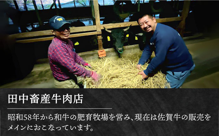 佐賀牛 切り落とし 500g  黒毛和牛 肉 牛肉 定期便 ロース バラ 赤身 普段使い 佐賀 定期 3ヶ月 3回
