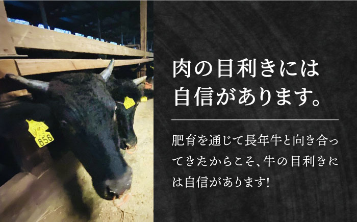 佐賀牛 切り落とし 500g 黒毛和牛 肉 牛肉 定期便 月2回 1ヶ月に2回 ロース バラ 赤身 定期