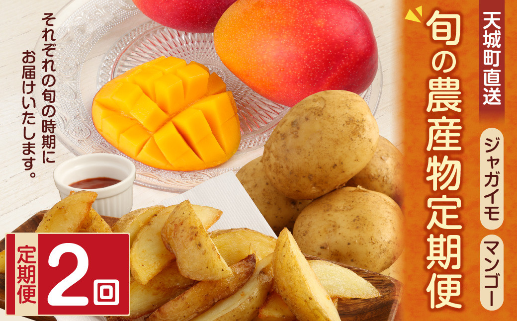 【定期便】【年2回発送】天城町直送 旬の農産物 定期便 ジャガイモ マンゴー 