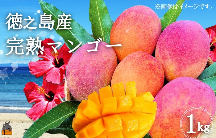 徳之島産完熟マンゴーは甘さが濃厚で美味しいと評判ですよ。※1kgは2玉～3玉となります。