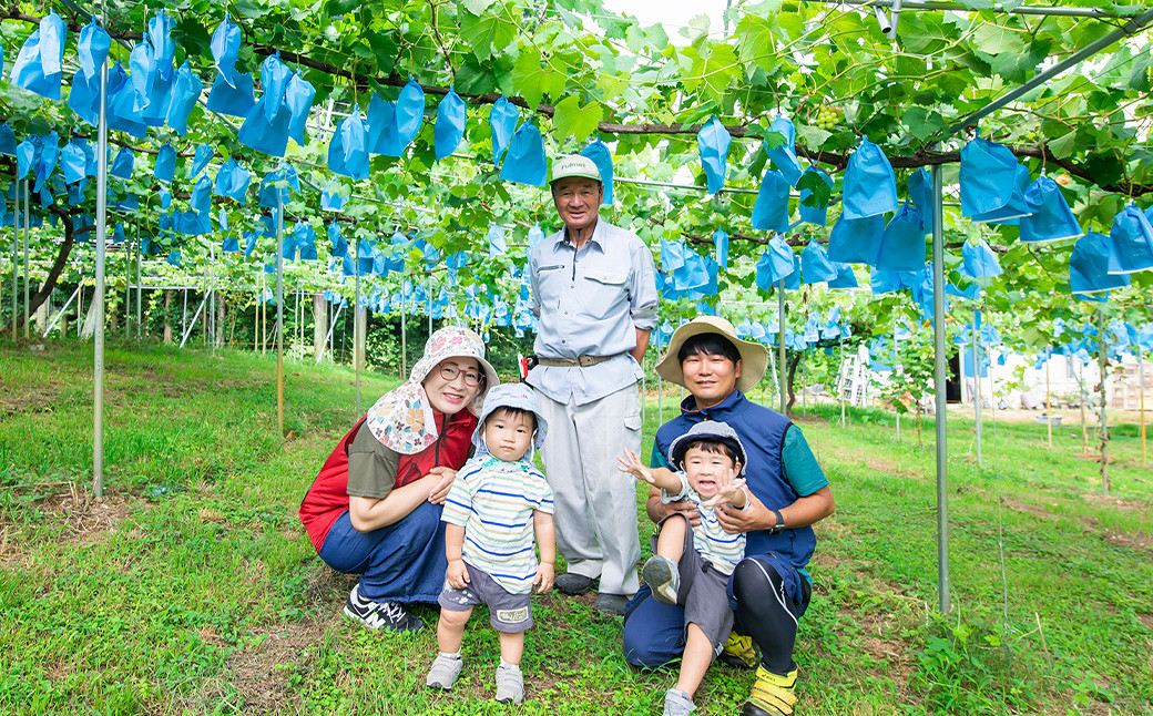 福岡県産シャインマスカット 約1kg 2～3房