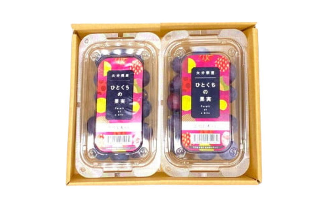 ひとくちの果実 300g×2パック 計900g ぶどう 巨峰 種あり