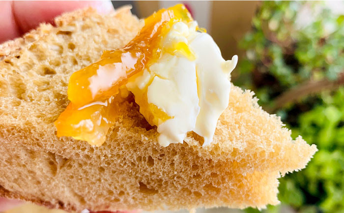 パン パンセット ぱん 冷凍 ギフト 小麦 ブレッド 国産小麦