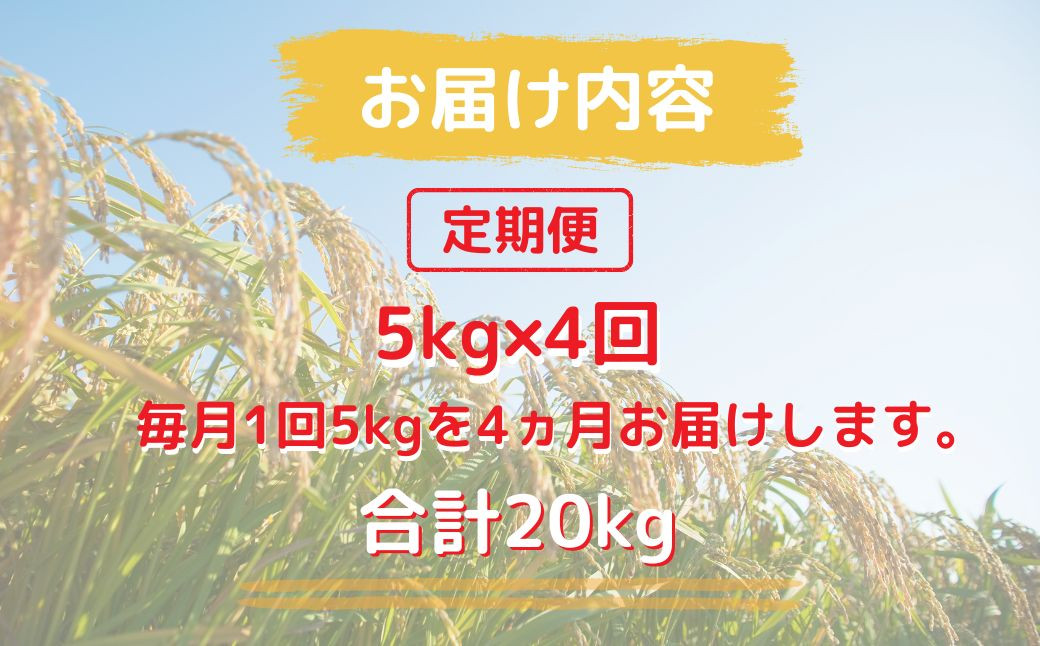 少ない人数で良いお米を育てるのは大変ですが、皆さんにぜひ食べてもらいたいです。
