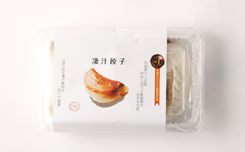 【12ヶ月定期便】ラーメン屋さんの凄汁ギョーザ 5個入り×5セット 合計25個 総合計300個