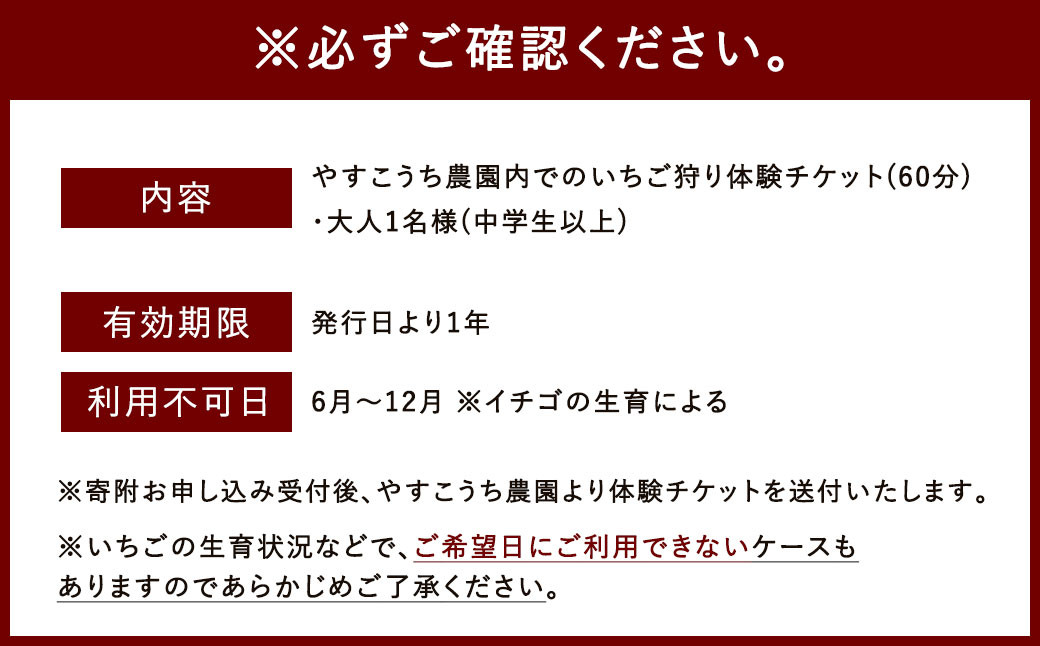 いちご狩り 食べ放題チケット60分 大人(中学生以上)1名様