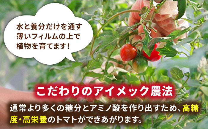 トマト とまと 甘い リピート 野菜 壱岐産 ミディトマト 朝食 贈り物 ギフト