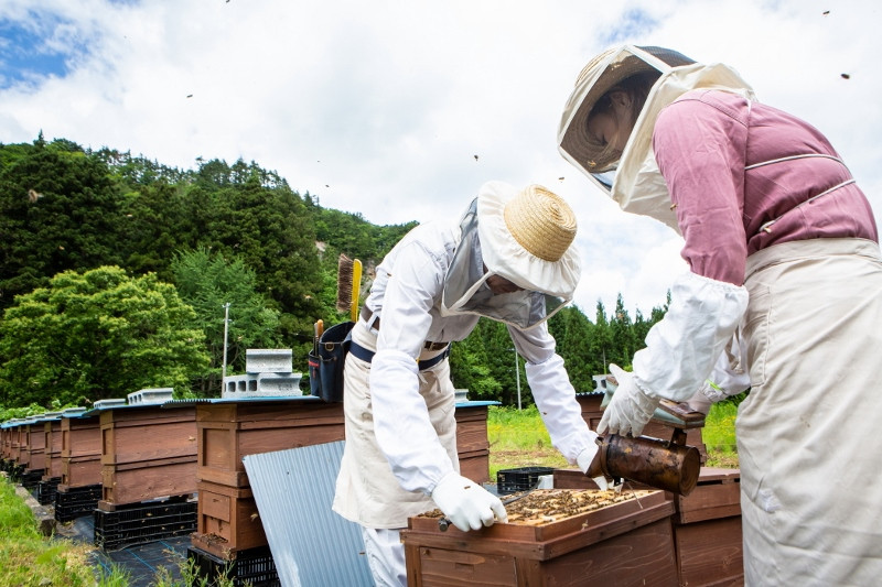 自然豊かな岩手県・西和賀町で採蜜した 100％ 天然 のはちみつです