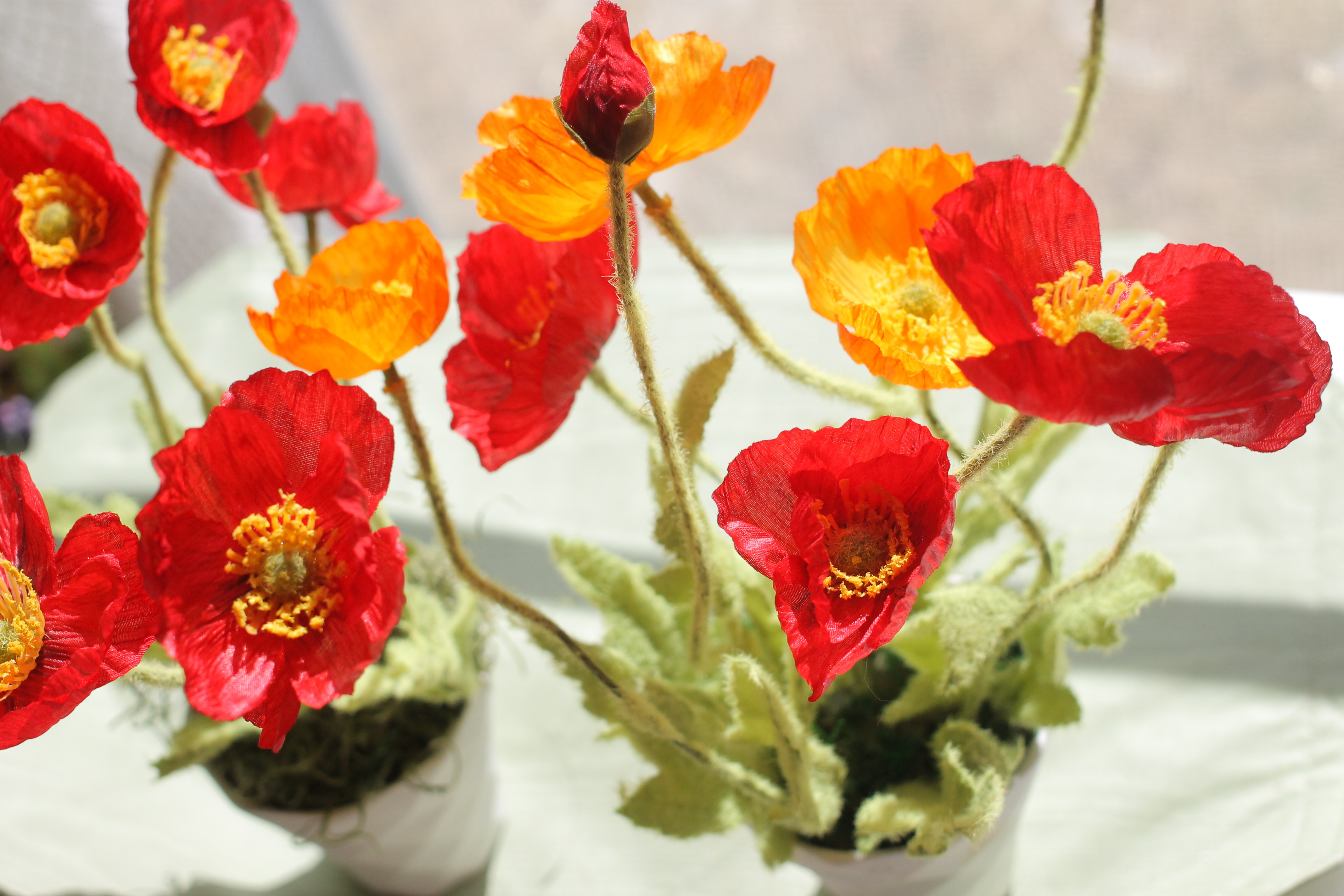 水のいらない　枯れない　空気をきれいにする花    ヘルス&フラワー�｡