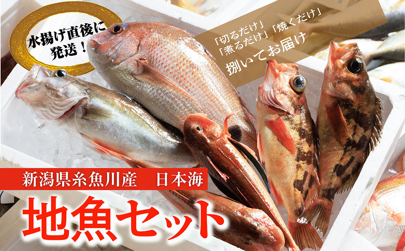 旬の魚をお届けします(魚種の指定不可)※画像はイメージです