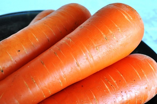 羊蹄山の麓の大自然の中で育った人参を使用しています