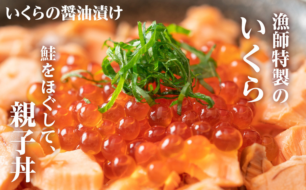 『お食事シリーズA』鮭(塩・西京・塩こうじ)・イクラ・鉄砲汁のセット!【24008】