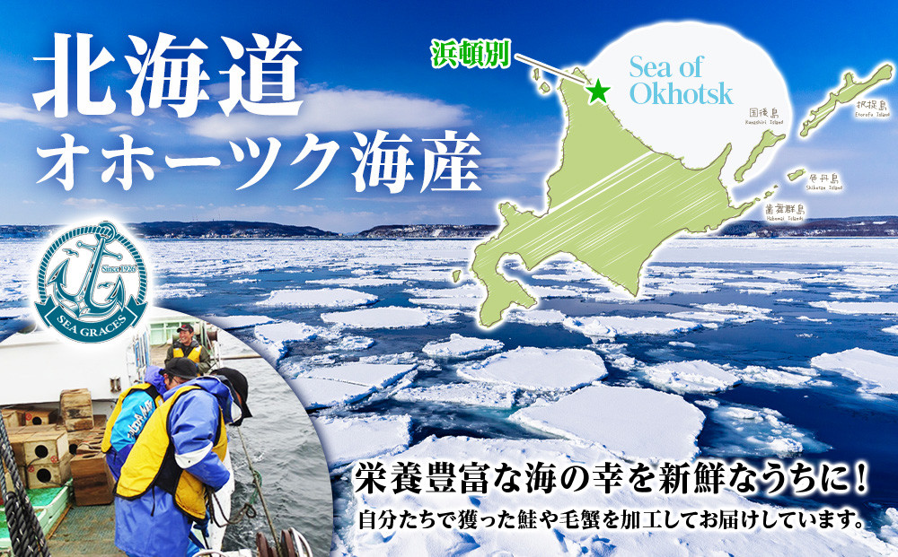 『お食事シリーズB』鮭・イクラ・鉄砲汁のセット!【24002】