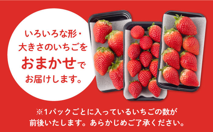 産地直送！佐賀県白石町産 いちごさん！