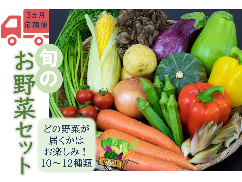 量は少しで良いけど、いろいろな野菜を楽しみたいという方に向けて、バリエーション豊かな少量多品種のセットでご用意しました！