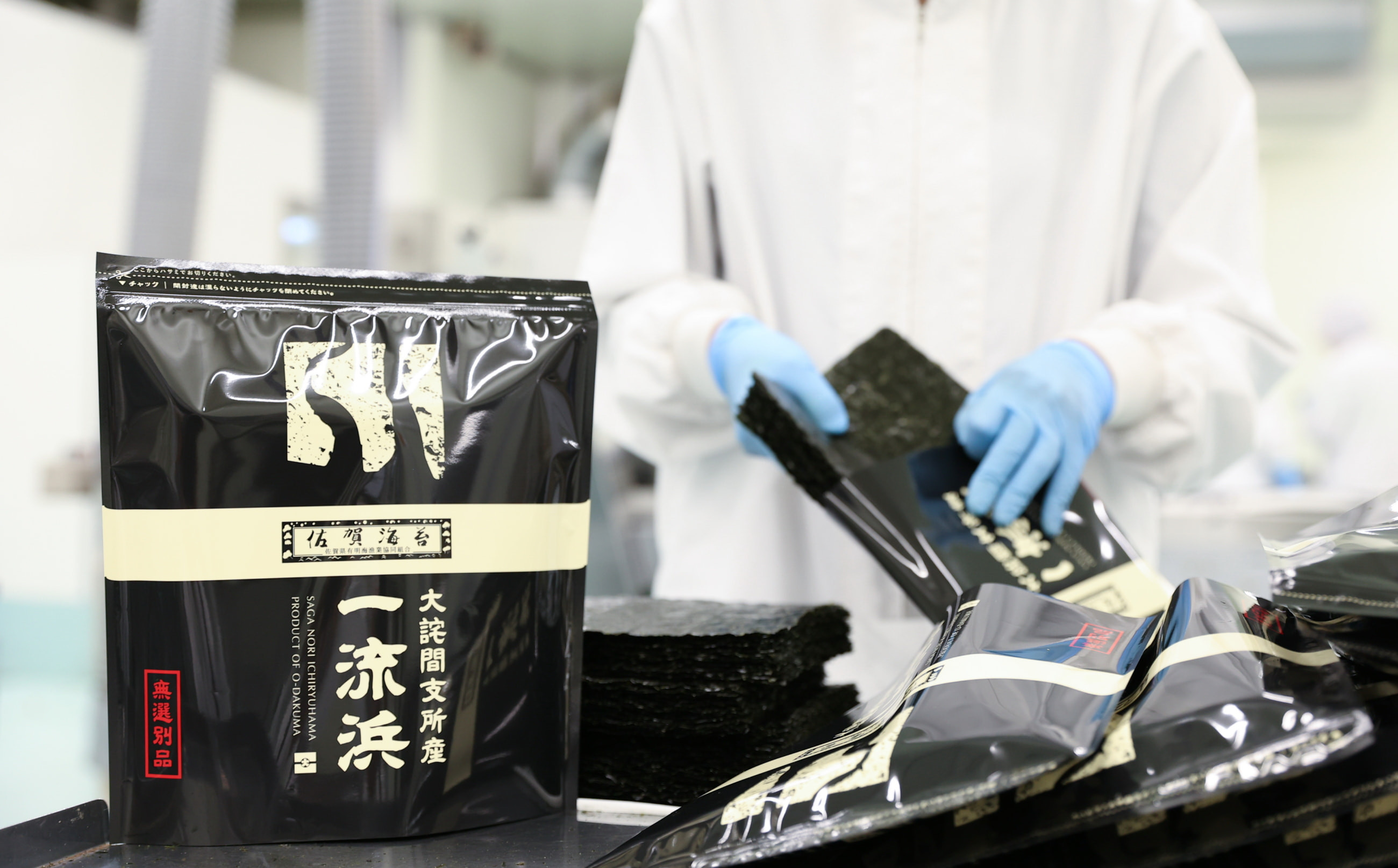 6ヶ月定期便 佐賀海苔 一流浜 一番摘み「無選別品」:1回のお届け分です(全形30枚)。