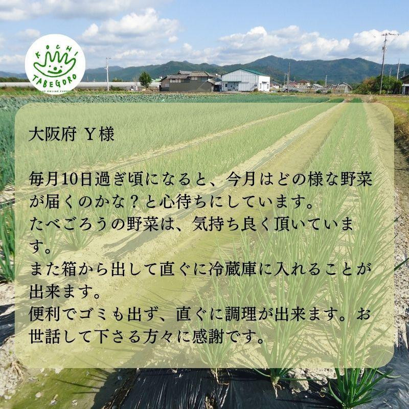 『定期便』野菜詰め合わせセット3ヵ月