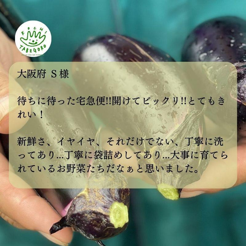 『定期便』野菜詰め合わせセット6ヵ月