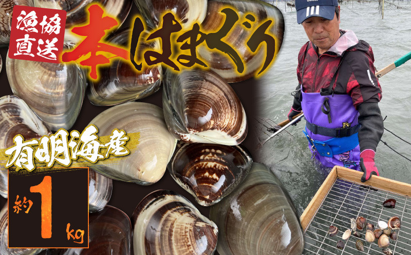 ハマグリ漁の様子