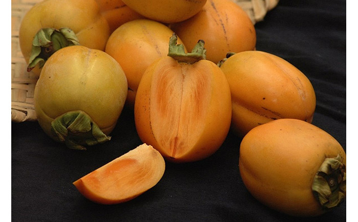 A23-56 柿(西条柿)【期間限定】