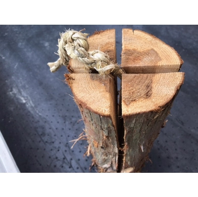 <京都産>スウェーデントーチ スモールサイズ(高さ40cm 直径15cm以上)