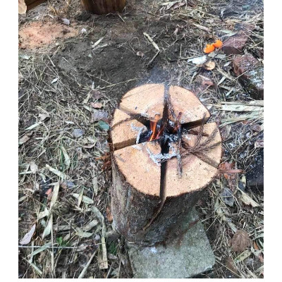 <京都産>スウェーデントーチ ラージサイズ(高さ40cm 直径25cm以上)