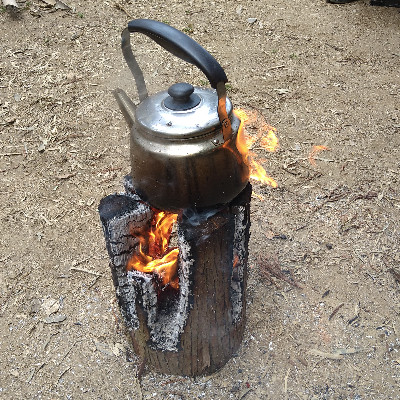 <京都産>スウェーデントーチ ラージサイズ(高さ40cm 直径25cm以上)