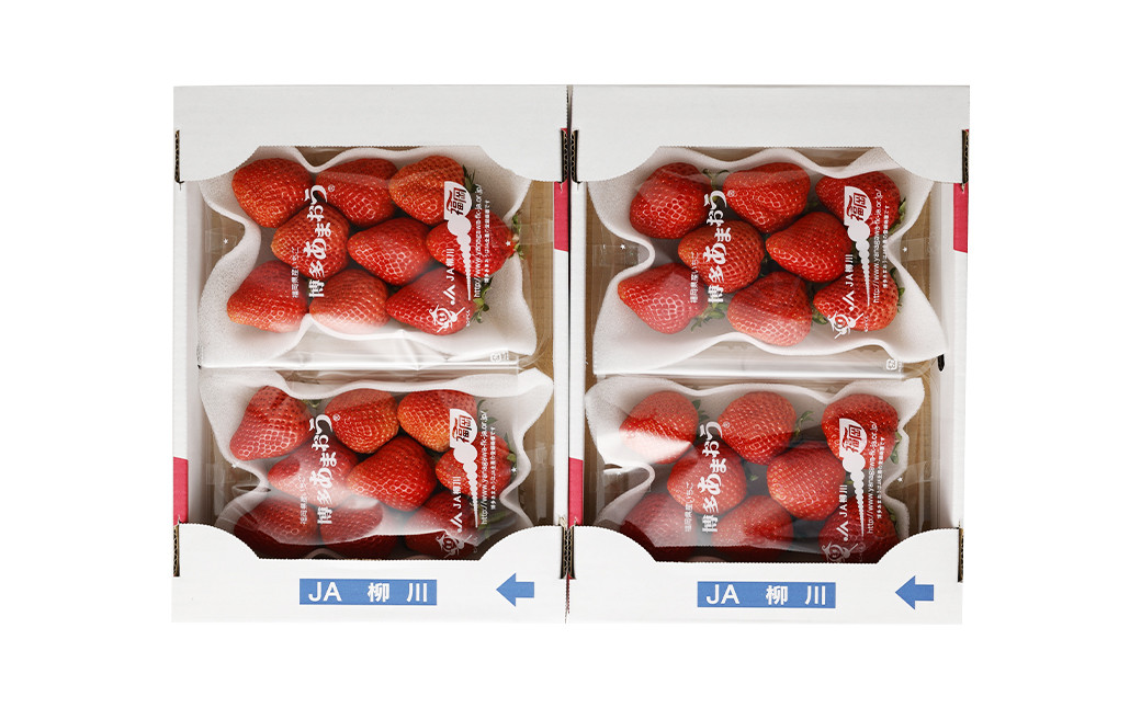 【3回定期便】大粒あまおう 等級DX 総重量約3360g