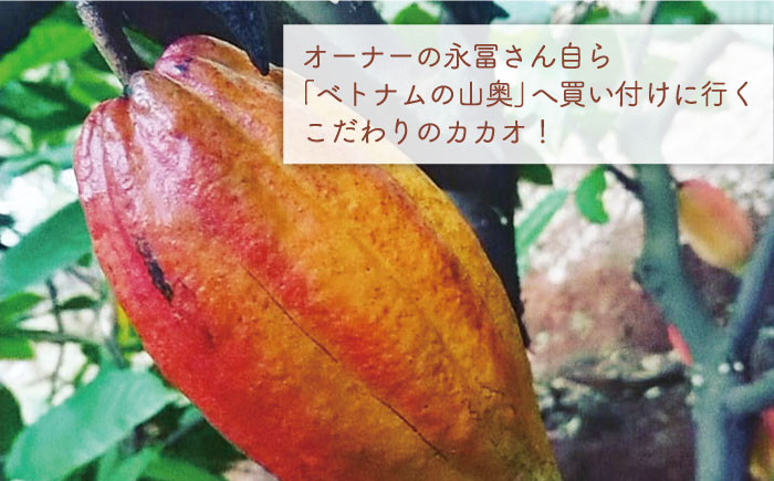 チョコレート ギフト 詰め合わせ チョコ ケーキ スフレ バレンタイン ギフト