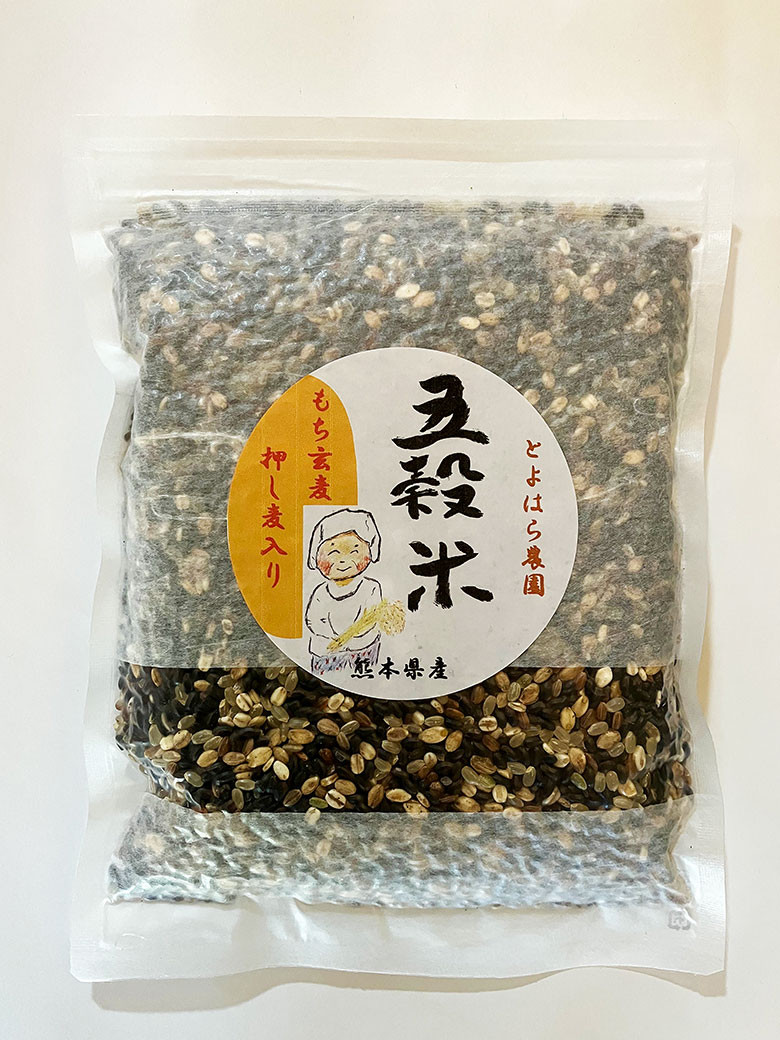 相良村産 ヘルシー五穀米 250g 国産 五穀米 健康 熊本県 水上村 【2025年11月上旬より順次発送開始】