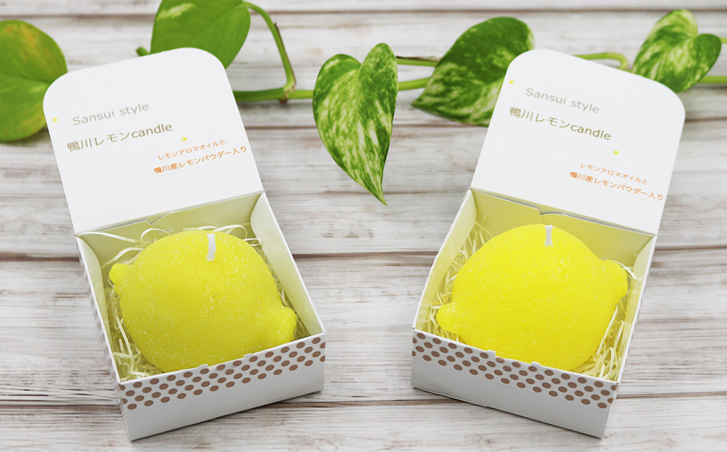 「グリーンイエロー」「鮮やかイエロー」の２色よりお選びください。