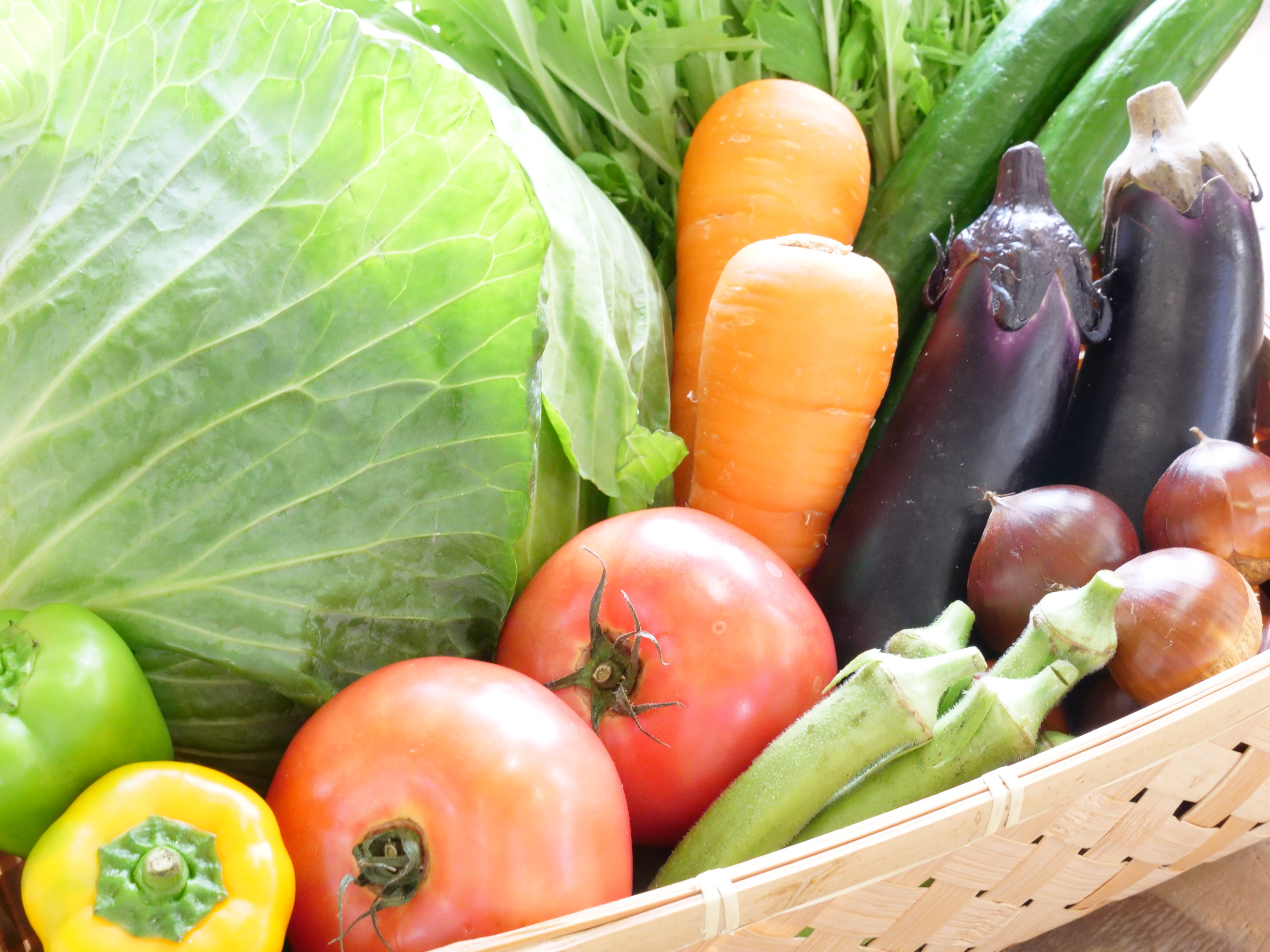 <京都産>木津川市でとれた野菜詰め合わせを12か月毎月送ります!