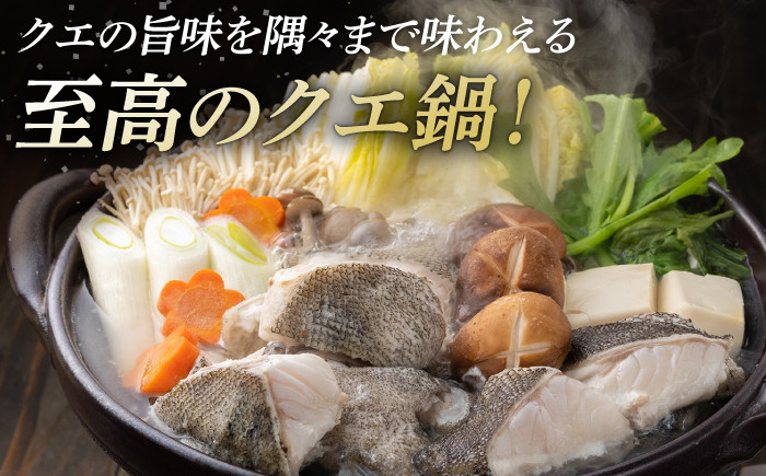 くえ 高級魚 魚 クエ アラ 希少 冷凍 対馬市 海鮮 魚介 刺身 刺し身 鍋 クエ鍋 鍋セット 白身 切り身