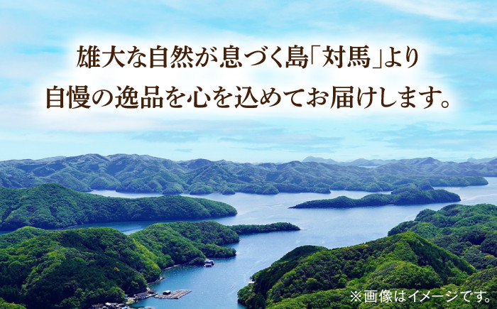 くえ 高級魚 魚 クエ アラ 希少 冷凍 対馬市 海鮮 魚介 刺身 刺し身 鍋 クエ鍋 鍋セット 白身 切り身