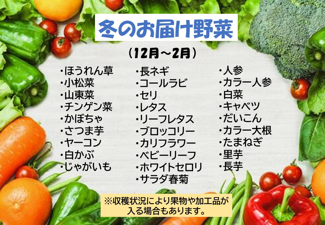 この中から10品以上の発送になります。※季節によって果物・加工品が入る場合があります