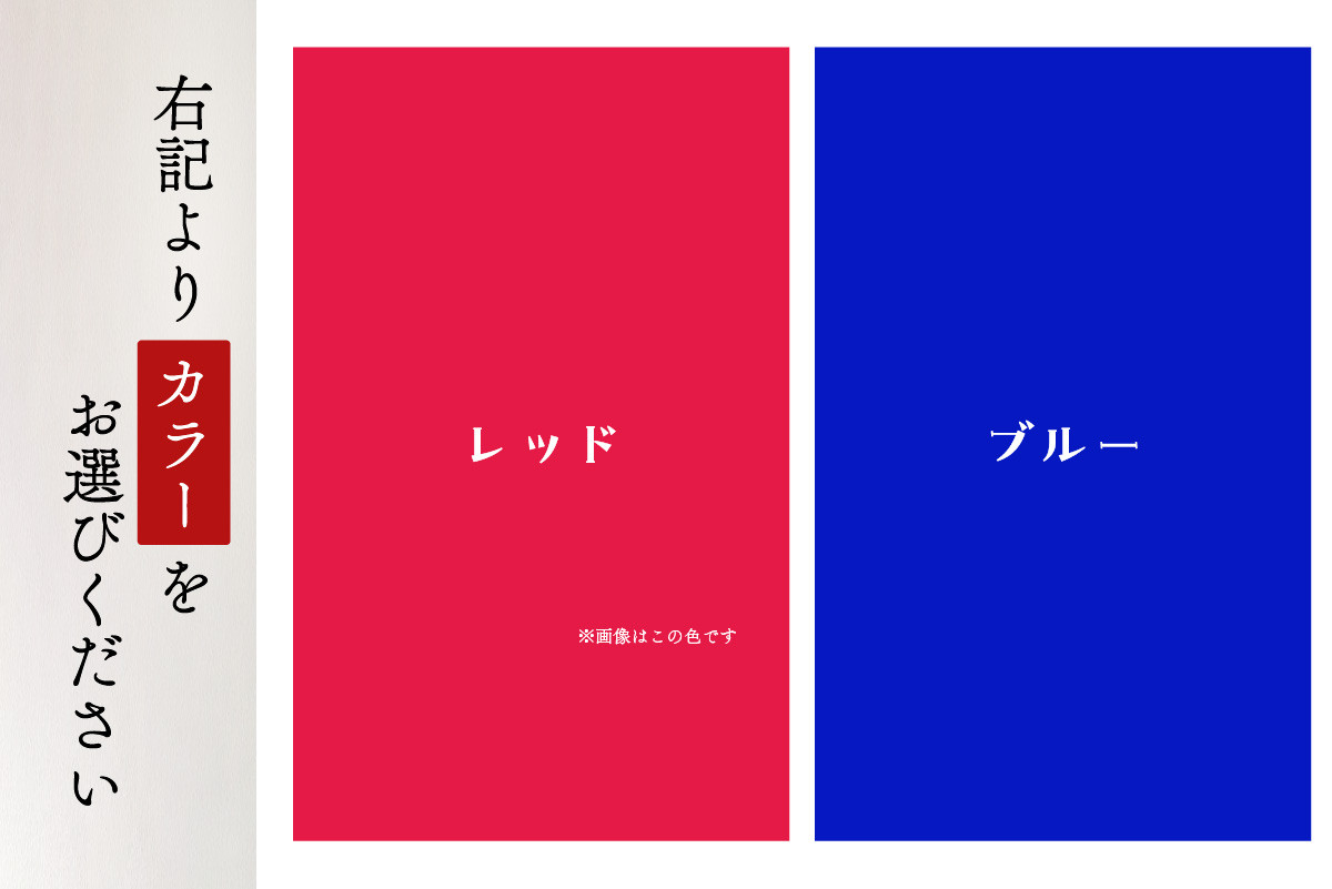 coyotE noaのマスクケース