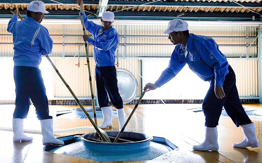 【定期便6回】白岳 3本 セット (白岳、白岳全麹、肥後時習館) 25度 900ml×3本 2.7L×6か月 米焼酎 焼酎 酒